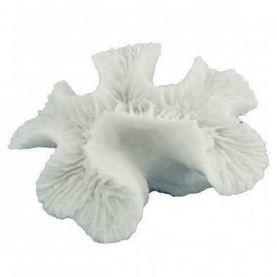 Ridged Cactus Coral - Ivory White - 17 cm