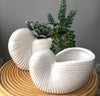 Nautilus Shell White Ceramic Planter Pot - 17 cm
