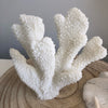 Faux Horn Coral Stand - White - 15 cm