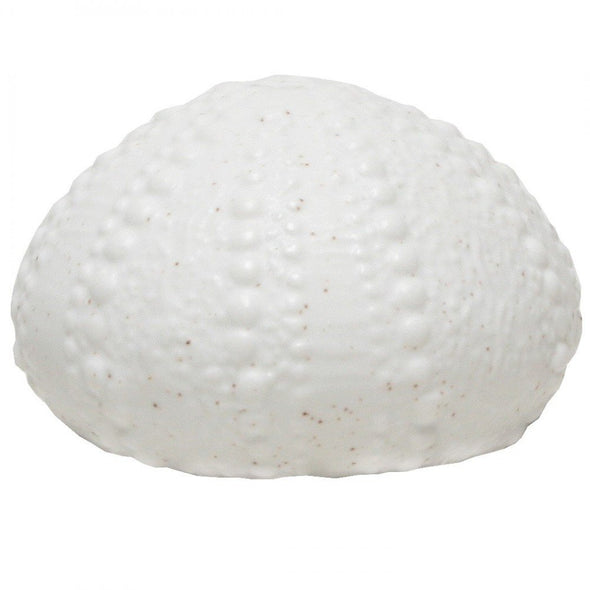 Set of 2 Sea Urchin Ornament - White 7 cm