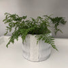 Ethical Handcrafted Recycled Paper Planter Pots - White