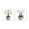 Set of 2 Orchids in Blue and White Round Pot Framed Wall Art